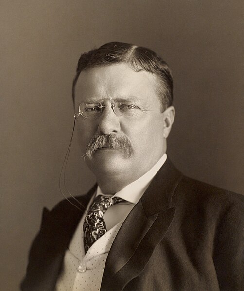 President Theodore Roosevelt